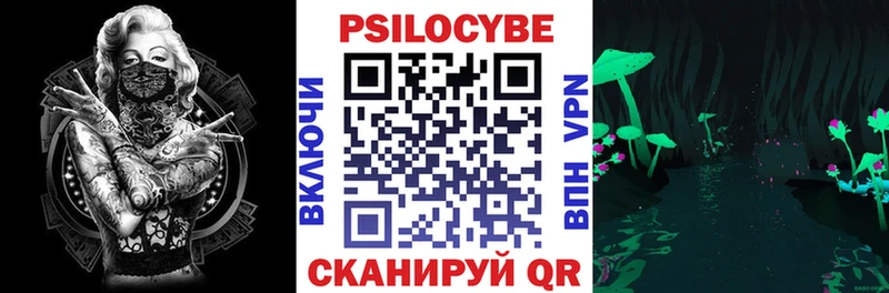Галлюциногенные грибы Psilocybe  как найти наркотики  Шуя 